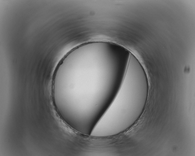 X0000091481008200708161144