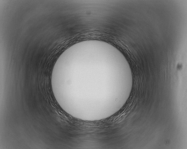 X0000091481010200708161144