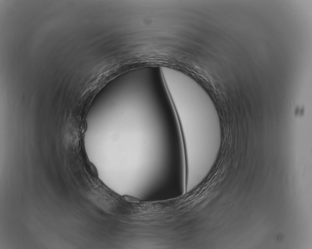 X0000091481012200708161144