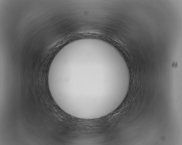 X0000091481014200708161144