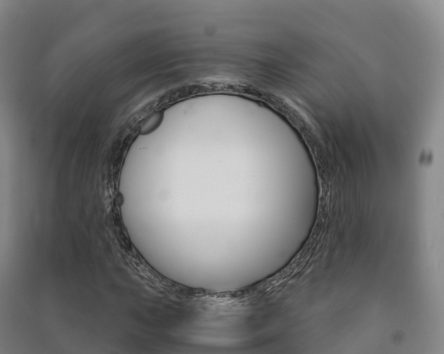 X0000091481015200708161144