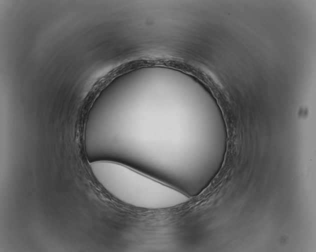 X0000091481016200708161144