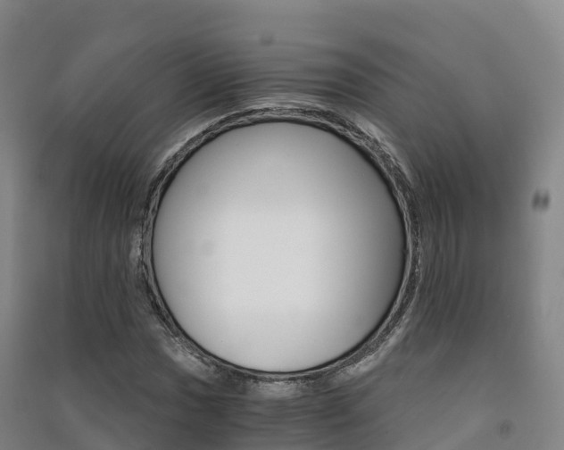 X0000091481017200708161144
