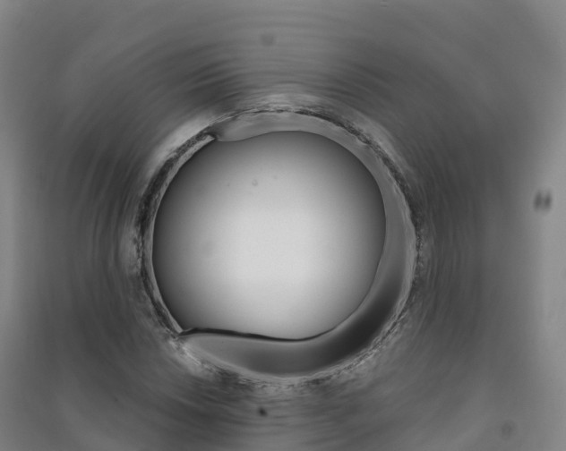 X0000091481018200708161144
