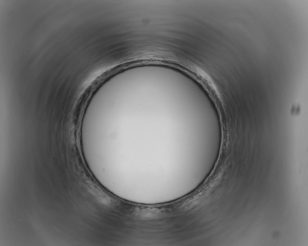 X0000091481019200708161144