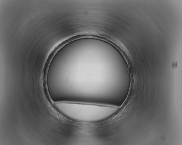 X0000091481020200708161144