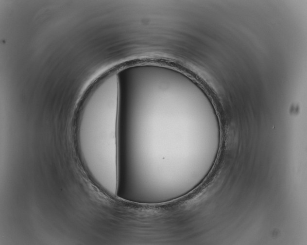 X0000091481021200708161144