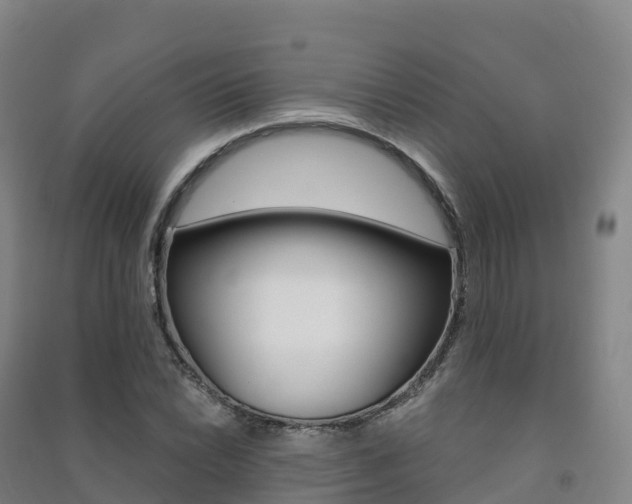 X0000091481022200708161144