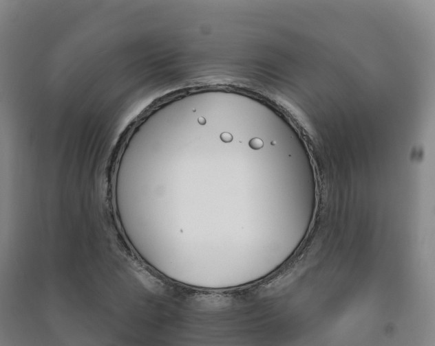 X0000091481023200708161144