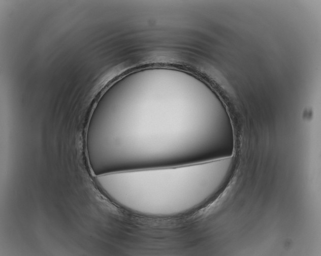 X0000091481025200708161144