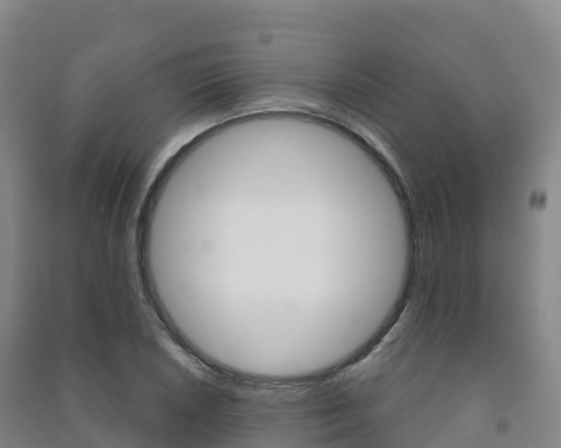 X0000091481026200708161144