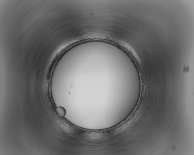 X0000091481027200708161144