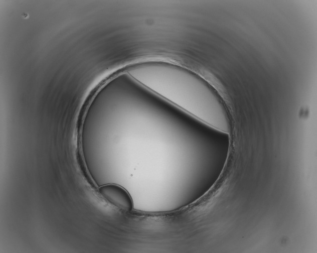 X0000091481028200708161144