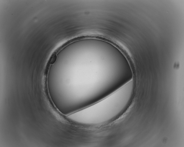 X0000091481029200708161144