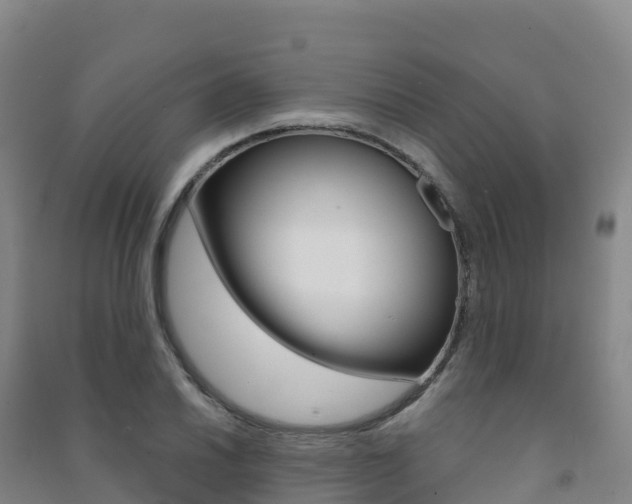 X0000091481030200708161144