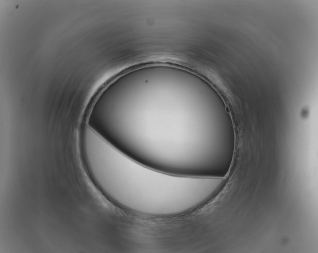 X0000091481032200708161144