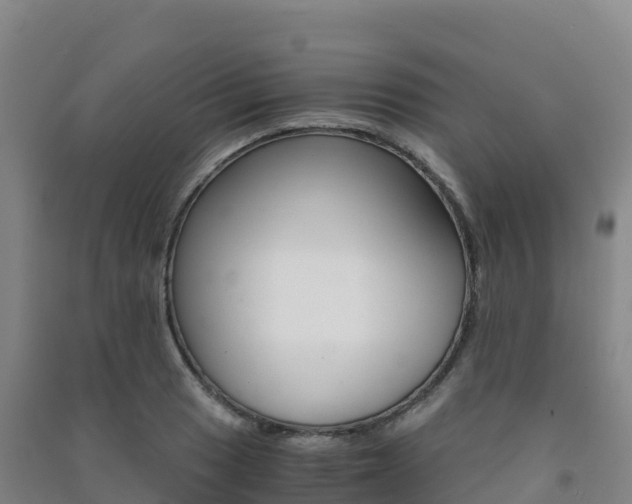 X0000091481033200708161144