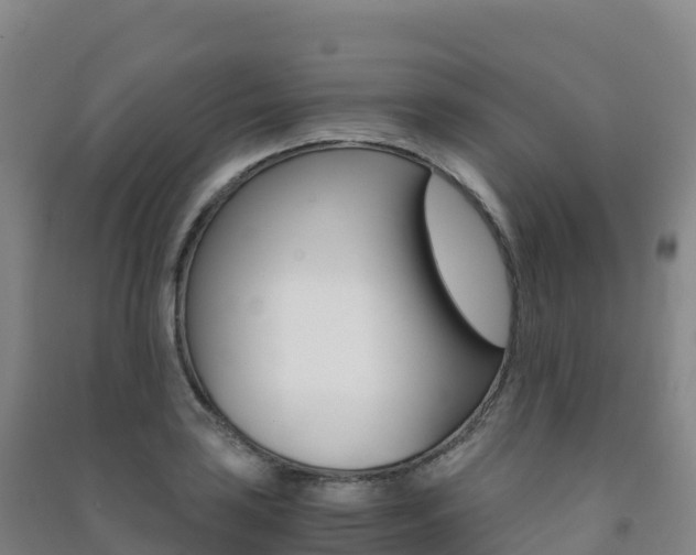 X0000091481035200708161144