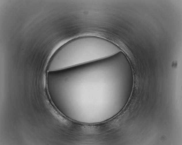 X0000091481036200708161144