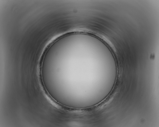 X0000091481037200708161144