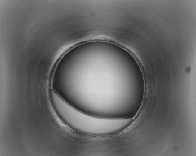 X0000091481038200708161144