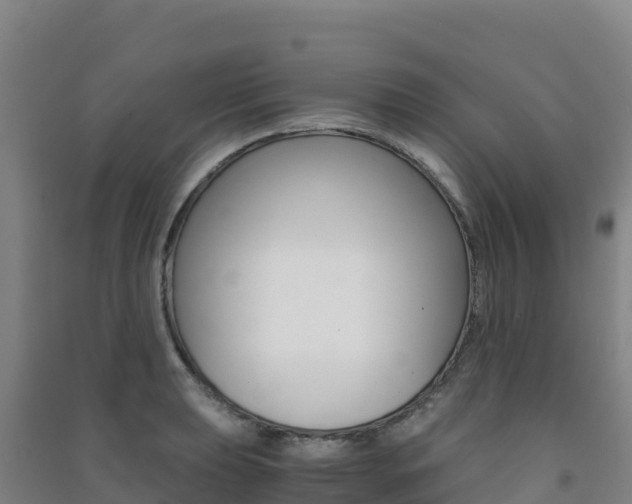X0000091481039200708161144