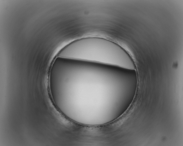 X0000091481040200708161144