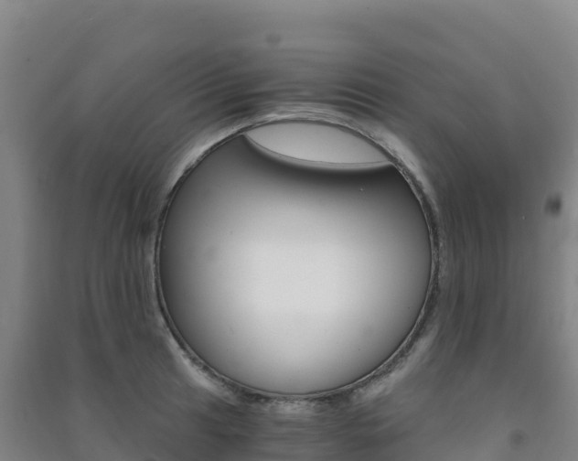 X0000091481041200708161144