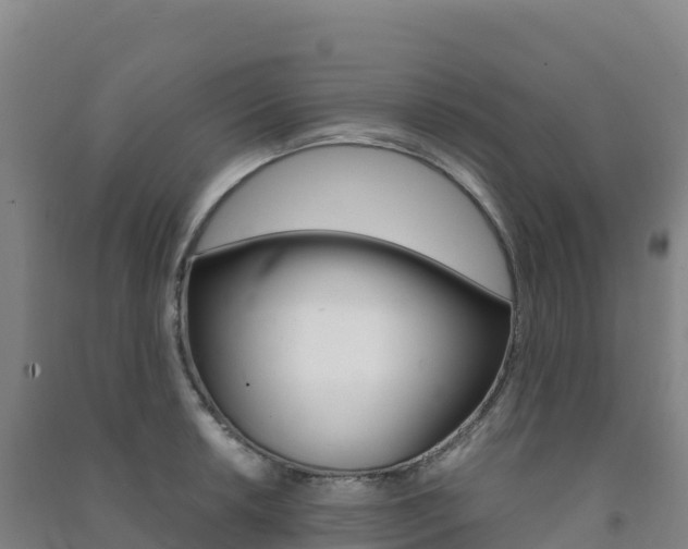 X0000091481042200708161144