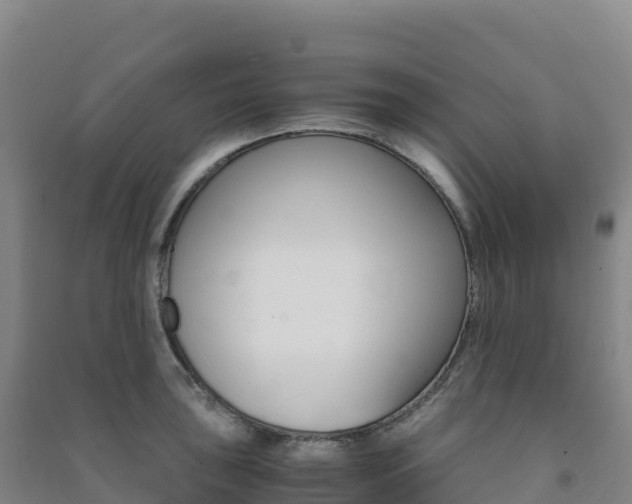 X0000091481043200708161144