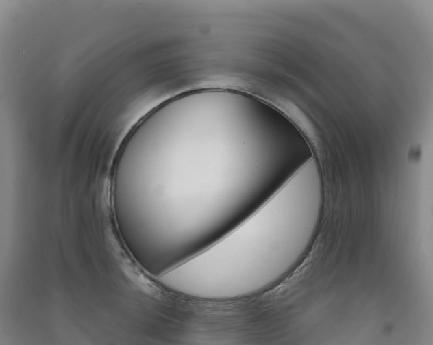 X0000091481044200708161144