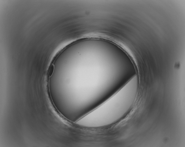 X0000091481045200708161144
