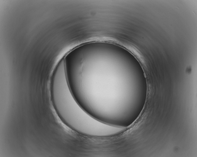 X0000091481046200708161144