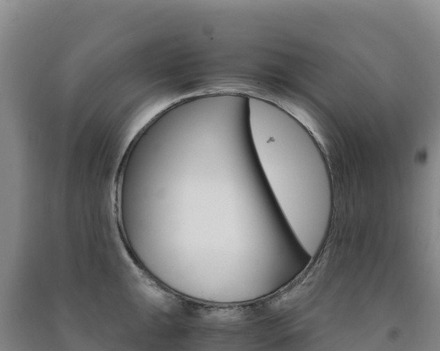 X0000091481047200708161144