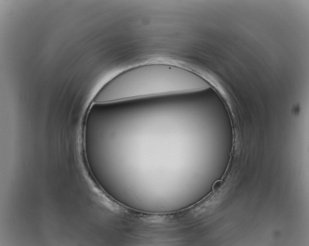 X0000091481048200708161144