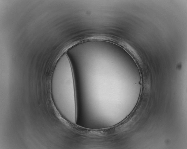 X0000091481049200708161144