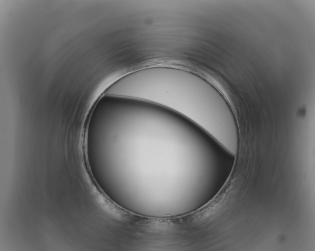 X0000091481050200708161144