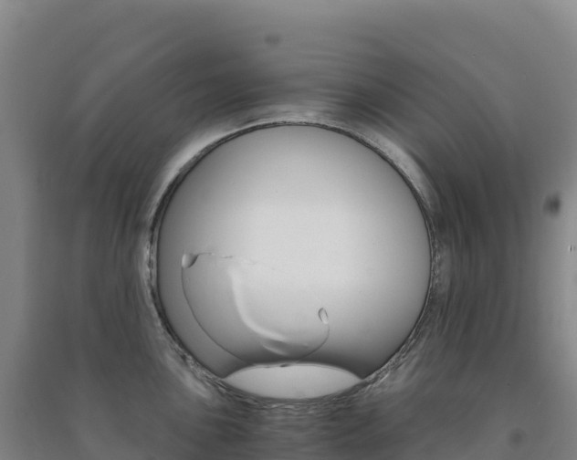 X0000091481051200708161144