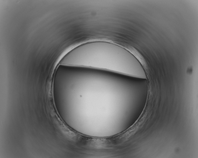 X0000091481052200708161144