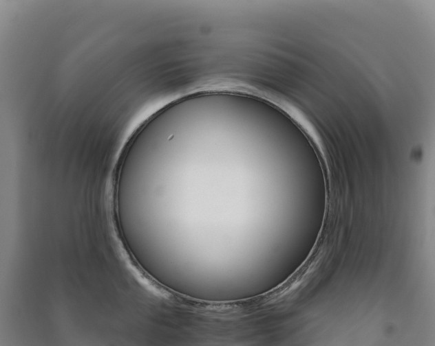 X0000091481053200708161144