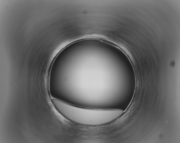X0000091481054200708161144
