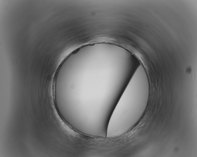 X0000091481055200708161144