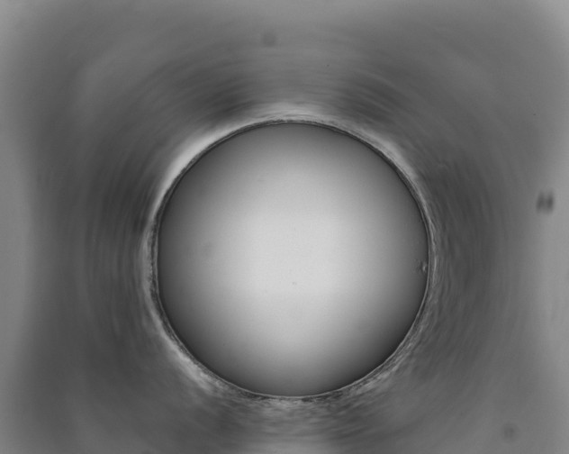 X0000091481056200708161144