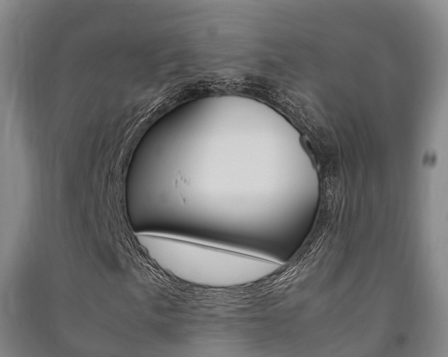 X0000091481057200708161144