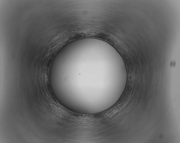 X0000091481058200708161144