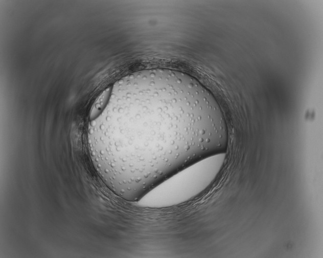 X0000091481059200708161144
