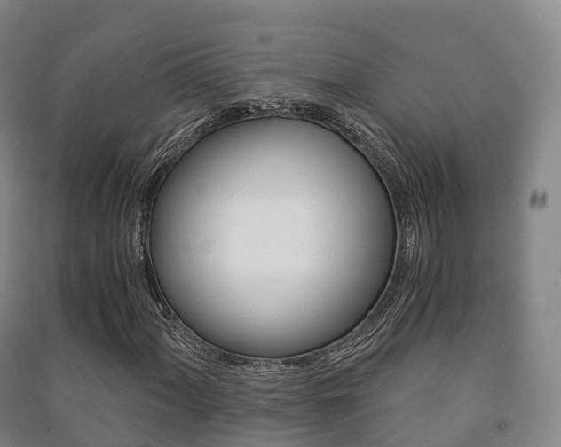 X0000091481060200708161144