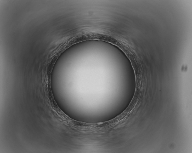 X0000091481061200708161144