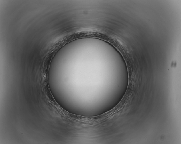 X0000091481062200708161144