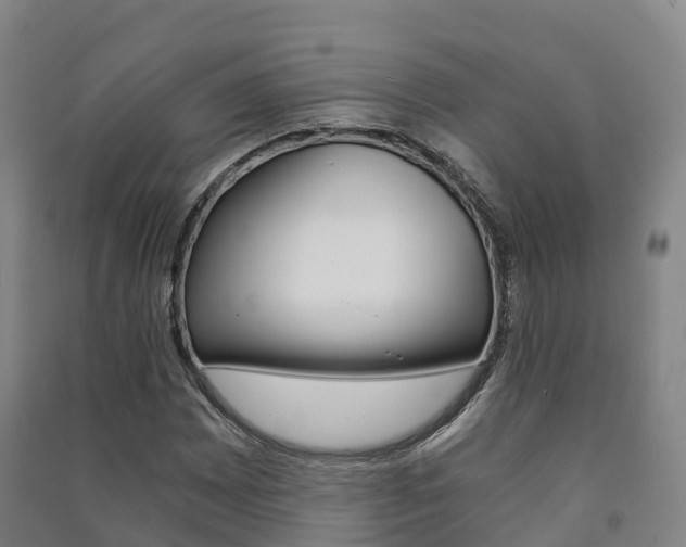 X0000091481065200708161144